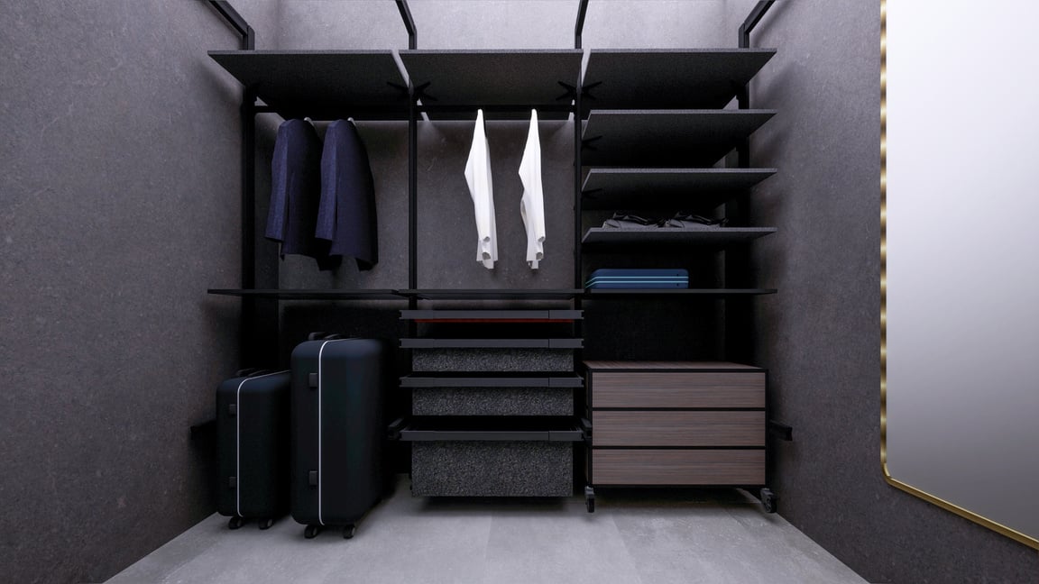 Contemporary Interior Of Walk In Closet